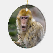Macaca sylvanus keramisch ornament (Links)