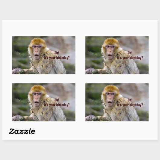 Macaca sylvanus rechthoekige sticker (Vel)