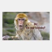 Macaca sylvanus rechthoekige sticker (Voorkant)