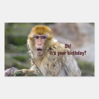 Macaca sylvanus rechthoekige sticker