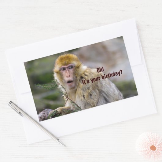 Macaca sylvanus rechthoekige sticker (Envelop)