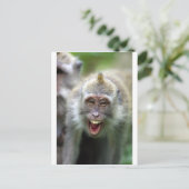 Macaque aap briefkaart (Staand voorkant)