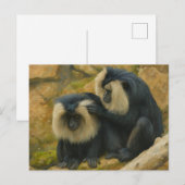Macaque Bond - Grooming Ritueel Briefkaart (Voorkant / Achterkant)