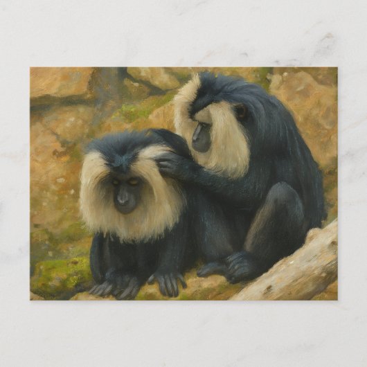 Macaque Bond - Grooming Ritueel Briefkaart (Voorkant)