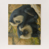 Macaque Bond - Grooming Ritueel Legpuzzel (Verticaal)