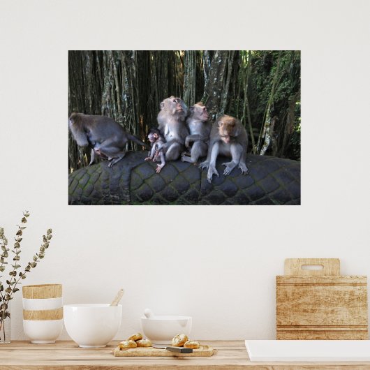 Macaque familie poster (Keuken)