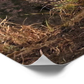 Macaque Mediteren in de mist Poster (Hoek)