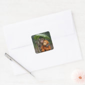 Macaque Monkey with Orange Orangutan Vierkante Sticker (Envelop)