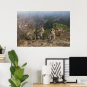 Macaques in de lijst poster (Thuiskantoor)