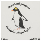 Macaroni Penguin Stof (Close Up)