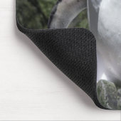 Macaroni Penguins, Zuid-Georgië Muismat (Hoek)