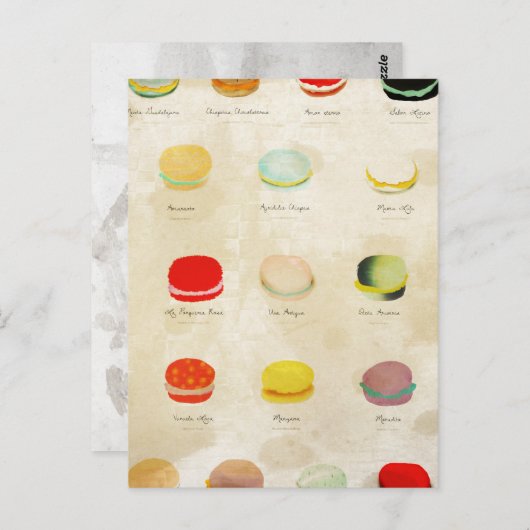 Macarons Paris Pastry Rupydetequila Briefkaart (Voorkant / Achterkant)