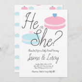 Macarons Roze Blauw Geslacht Hij of zij Kaart (Voorkant / Achterkant)
