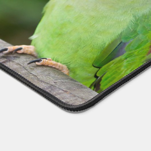 Macaw 4 Photo Collage Custom Monogram Bureaumat (Hoek)