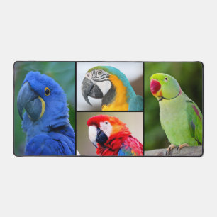 Macaw 4 Photo Collage Custom Monogram Bureaumat