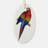 Macaw Bird Parrot Parakeet Keramisch Ornament (Rechts)