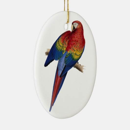 Macaw Bird Parrot Parakeet Keramisch Ornament (Rechts)