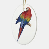 Macaw Bird Parrot Parakeet Keramisch Ornament (Links)