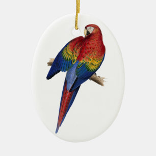 Macaw Bird Parrot Parakeet Keramisch Ornament