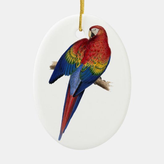Macaw Bird Parrot Parakeet Keramisch Ornament (Voorkant)