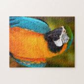 Macaw Bird Puzzle Legpuzzel (Horizontaal)