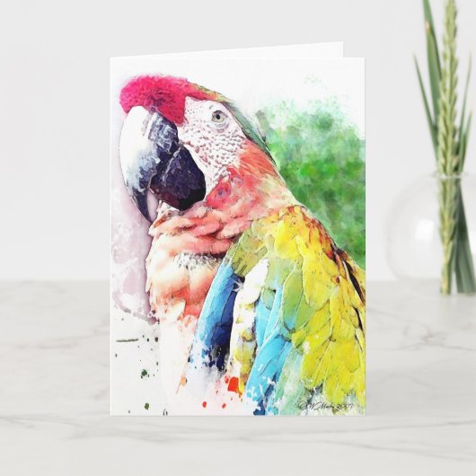 Macaw Blank Wenskaart Kaart (Voorkant)