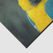 Macaw Blue en gele foto Tissuepapier (Detail)
