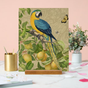 Macaw Blue Yellow Tropical Oerwoud Antiek Acryl Bord