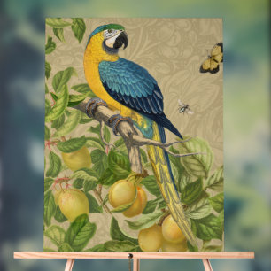 Macaw Blue Yellow Tropical Oerwoud Antiek Acryl Bord