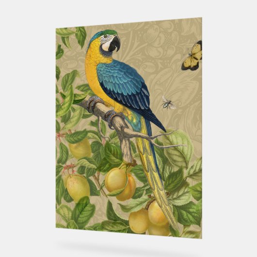Macaw Blue Yellow Tropical Oerwoud Antiek Acryl Bord (Hoek)