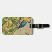Macaw Blue Yellow Tropical Oerwoud Antiek Bagagelabel (Voorkant horizontaal)