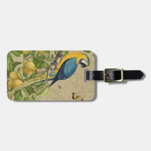 Macaw Blue Yellow Tropical Oerwoud Antiek Bagagelabel (Voorkant horizontaal)
