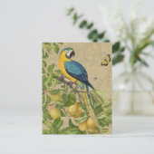 Macaw Blue Yellow Tropical Oerwoud Antiek Briefkaart (Staand voorkant)