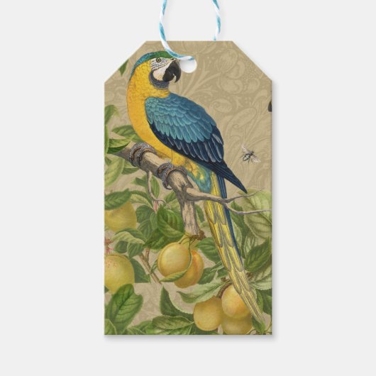 Macaw Blue Yellow Tropical Oerwoud Antiek Cadeaulabel (Voorkant)