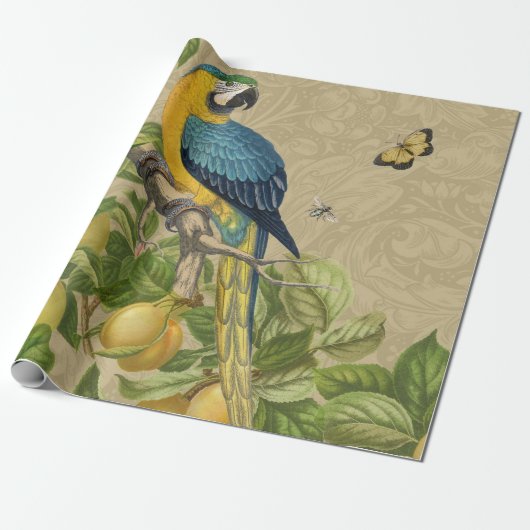 Macaw Blue Yellow Tropical Oerwoud Antiek Cadeaupapier (Uitgerold)