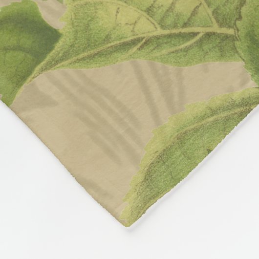 Macaw Blue Yellow Tropical Oerwoud Antiek Fleece Deken (Hoek)