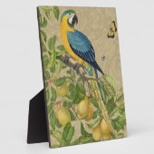 Macaw Blue Yellow Tropical Oerwoud Antiek Fotoplaat (Zijkant)