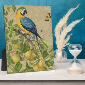 Macaw Blue Yellow Tropical Oerwoud Antiek Fotoplaat (Zijkant)