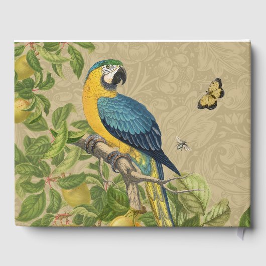 Macaw Blue Yellow Tropical Oerwoud Antiek Gastenboek (Achterkant)
