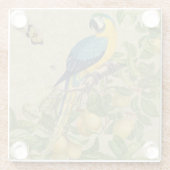 Macaw Blue Yellow Tropical Oerwoud Antiek Glazen Onderzetter (Achterkant)