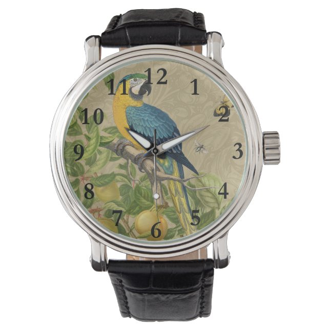 Macaw Blue Yellow Tropical Oerwoud Antiek Horloge (Voorkant)