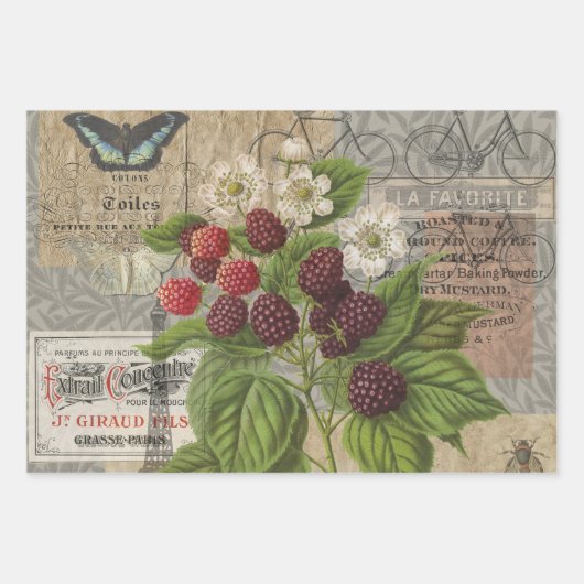 Macaw Blue Yellow Tropical Oerwoud Antiek Inpakpapier Vel (Voorkant 3)