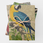Macaw Blue Yellow Tropical Oerwoud Antiek Inpakpapier Vel (In situ)