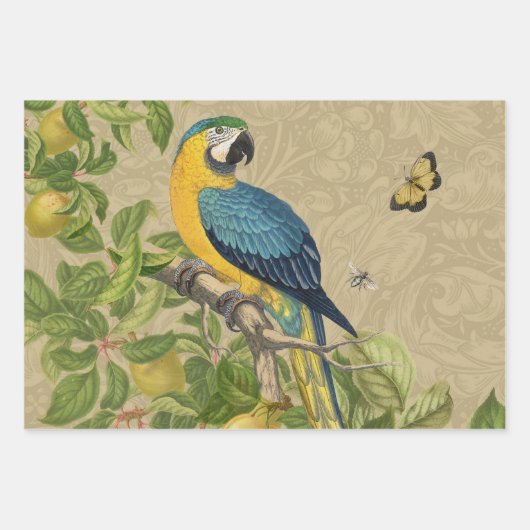 Macaw Blue Yellow Tropical Oerwoud Antiek Inpakpapier Vel (Voorkant)