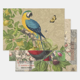 Macaw Blue Yellow Tropical Oerwoud Antiek Inpakpapier Vel