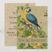 Macaw Blue Yellow Tropical Oerwoud Antiek Kaart (Voorkant / Achterkant)