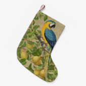 Macaw Blue Yellow Tropical Oerwoud Antiek Kleine Kerstsok (Voorkant (Hangend))