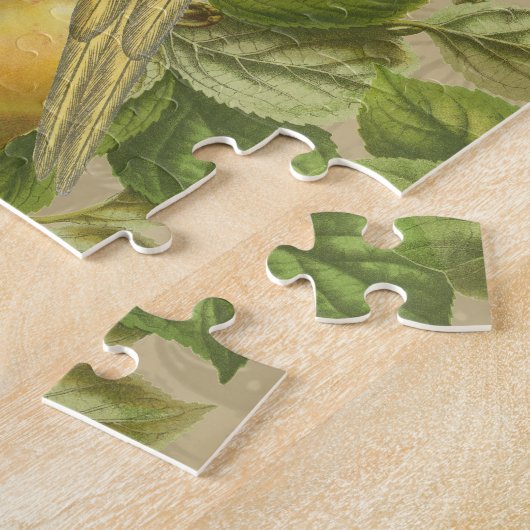 Macaw Blue Yellow Tropical Oerwoud Antiek Legpuzzel (Zijkant)