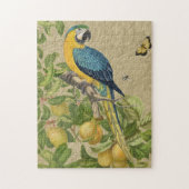Macaw Blue Yellow Tropical Oerwoud Antiek Legpuzzel (Verticaal)