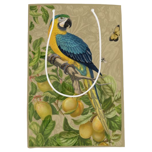 Macaw Blue Yellow Tropical Oerwoud Antiek Medium Cadeauzakje (Voorkant)